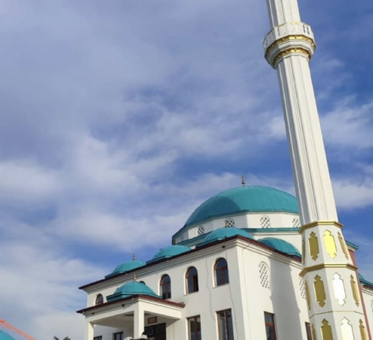 aydin_bozdogan_kubbe_kaplama